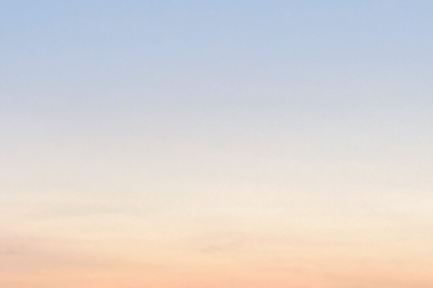 Spring Mood Playlists