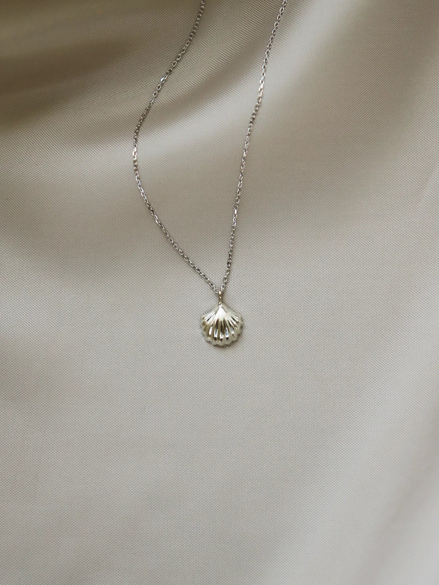 Baby shell necklace