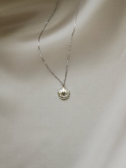Baby shell necklace
