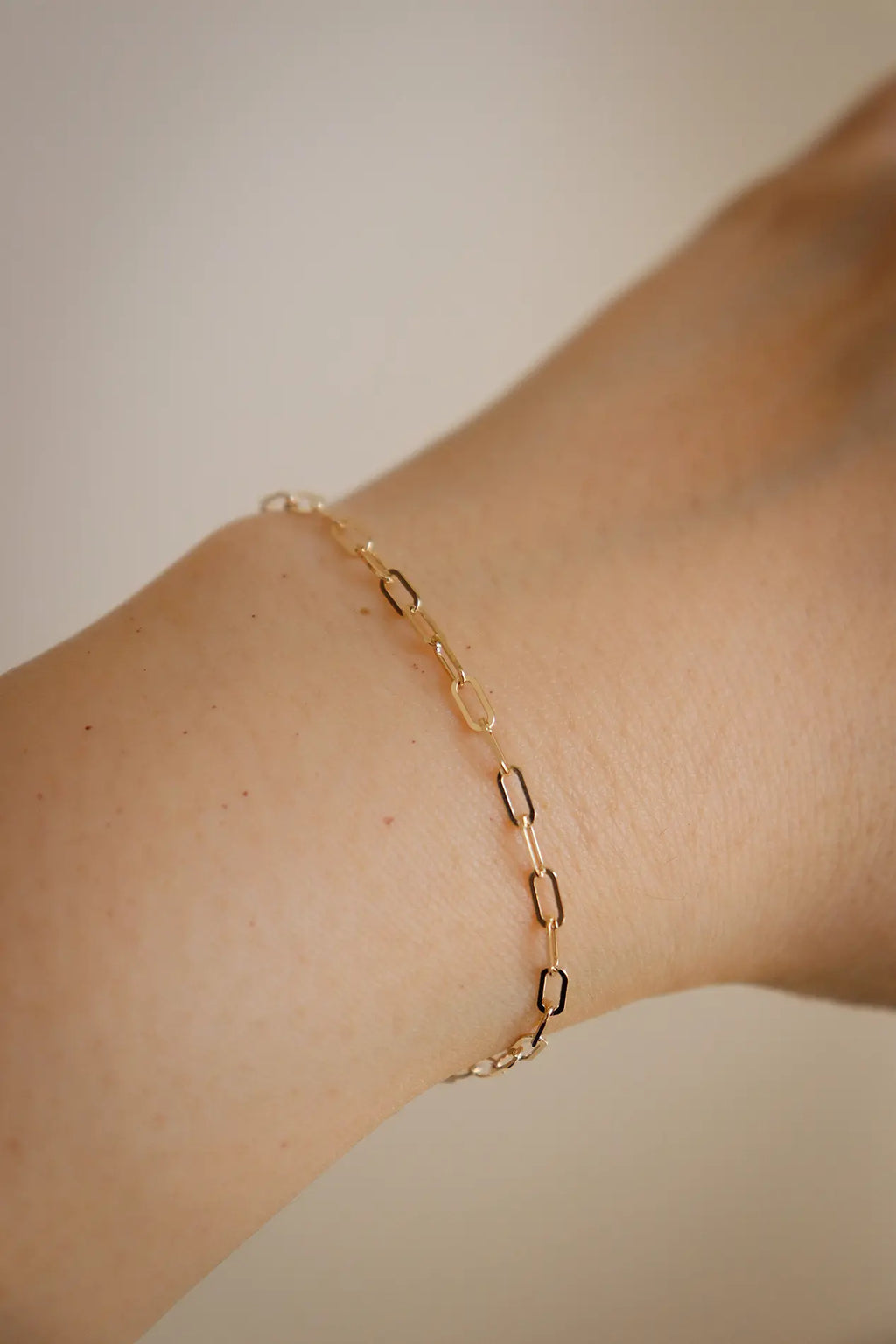 Paperclip Chain Bracelet