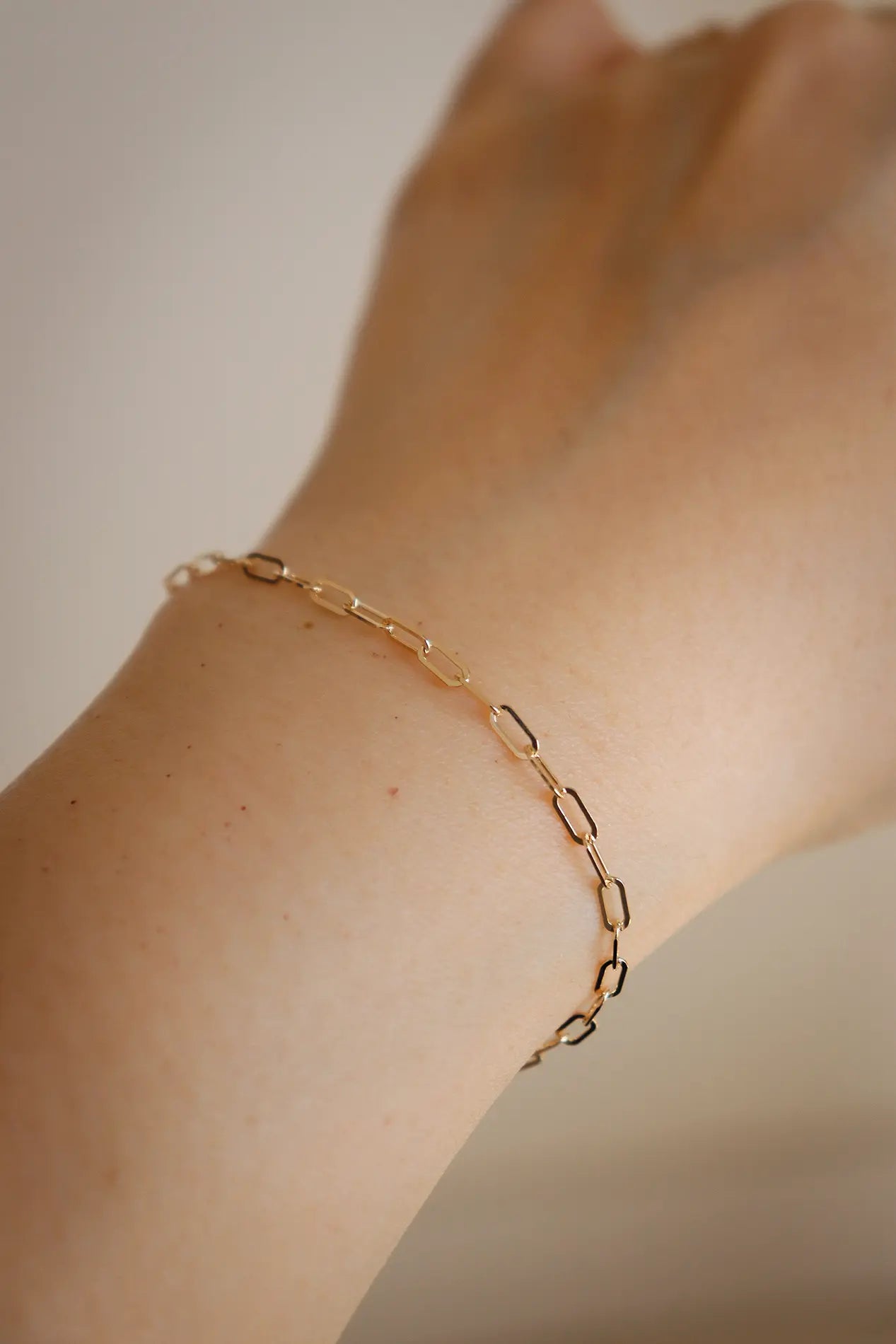 Paperclip Chain Bracelet