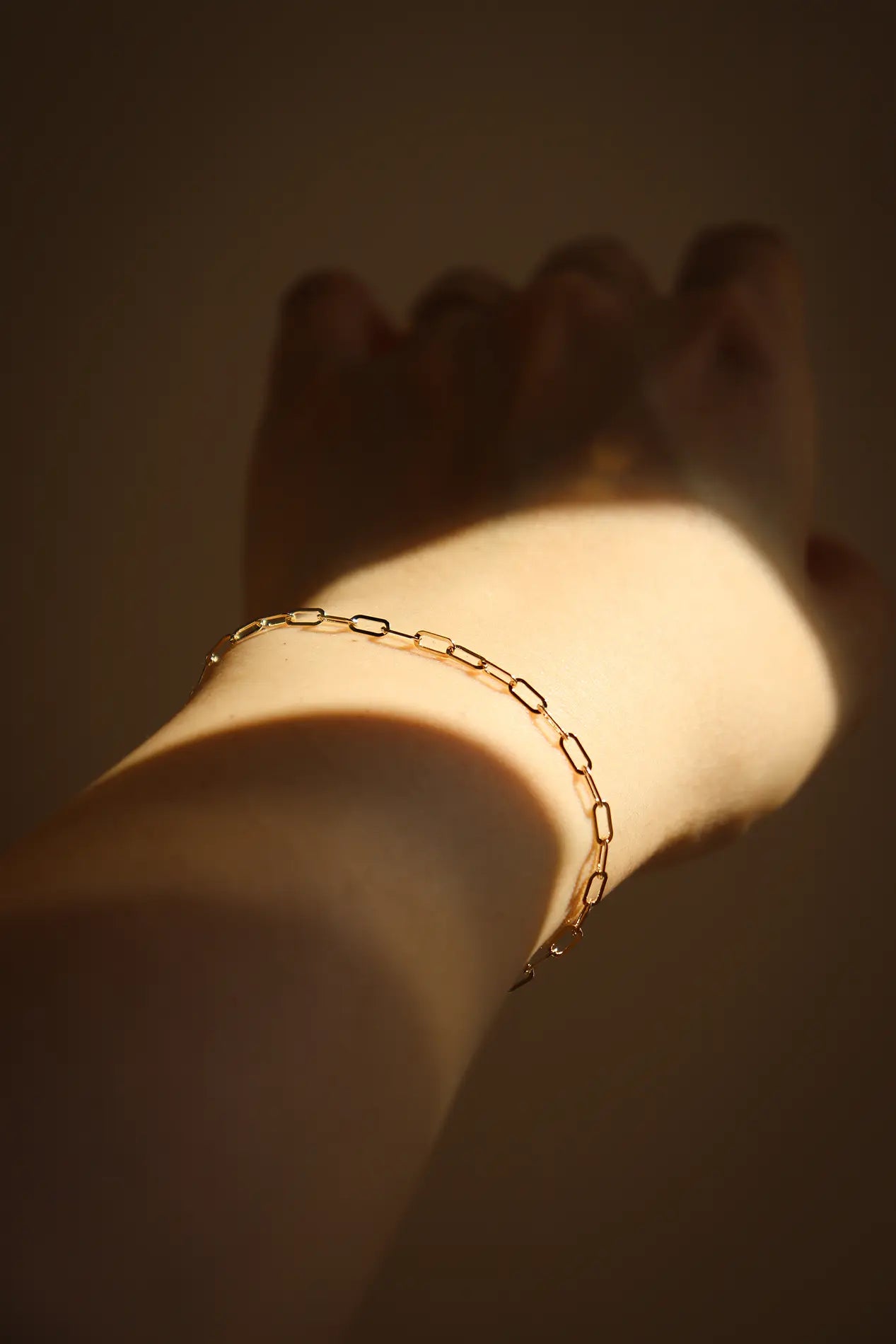 Paperclip Chain Bracelet