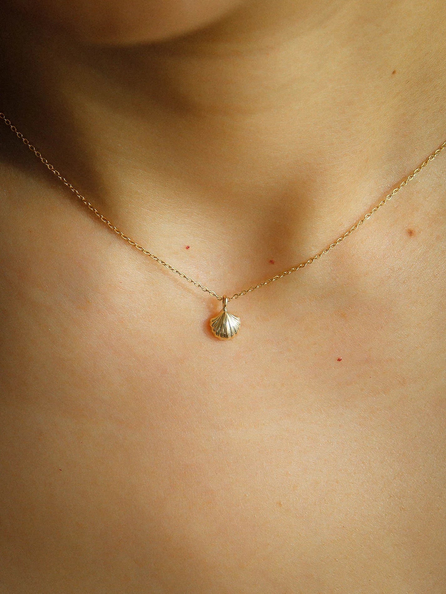 Baby shell necklace solid gold