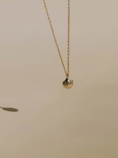 Baby shell necklace solid gold