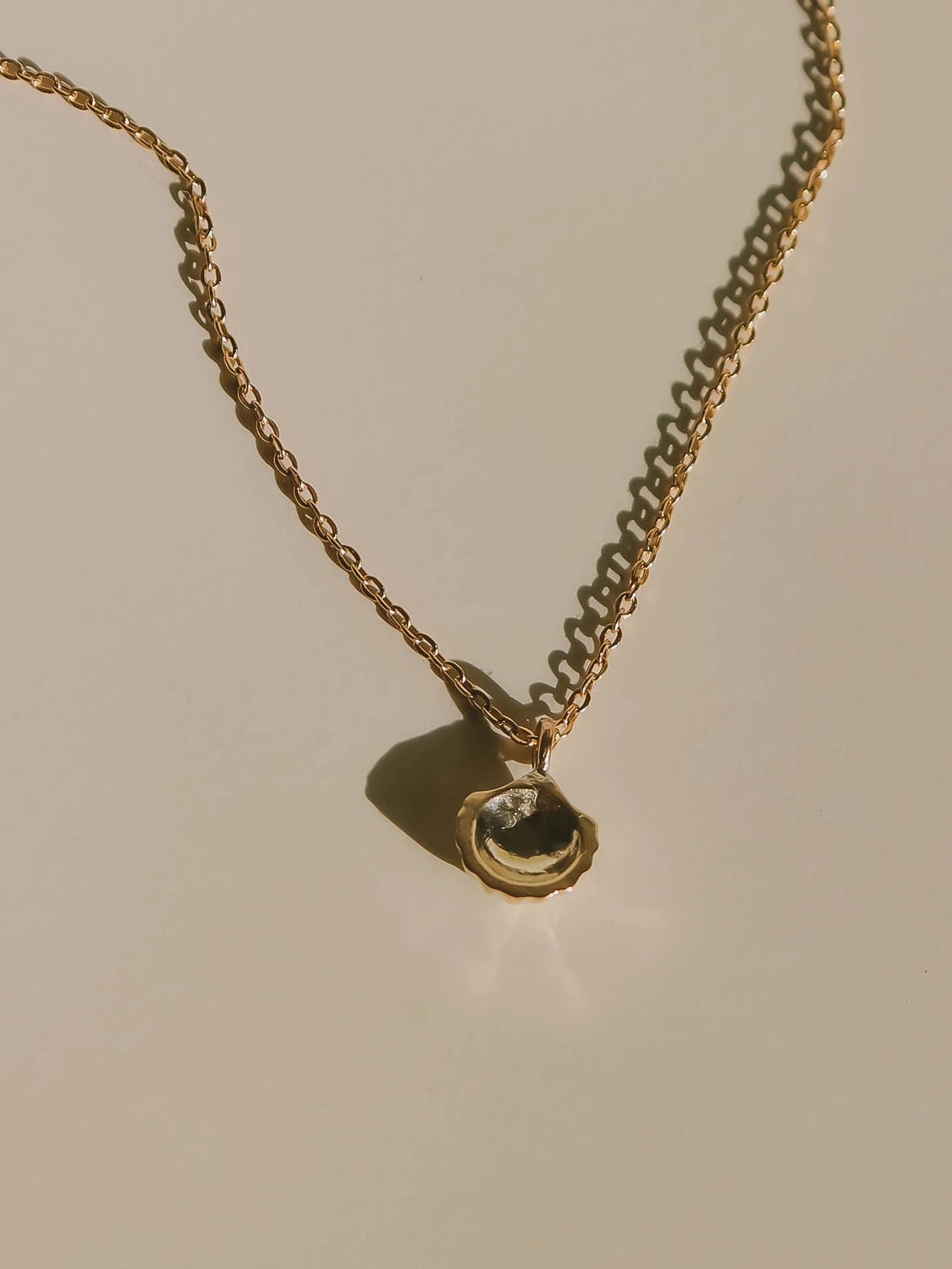 Baby shell necklace solid gold