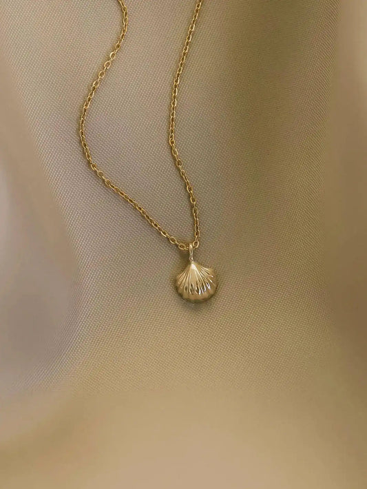 Baby shell necklace solid gold